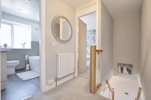 Photo 14- click for photo gallery